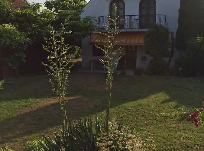 Elysium 3* גיינסדיאס