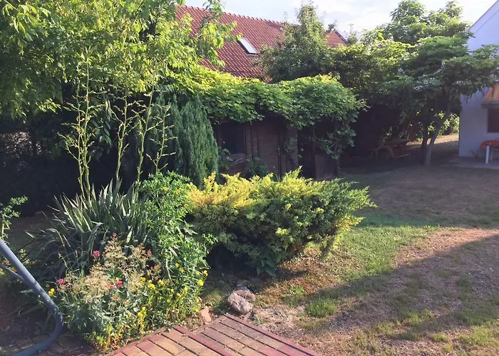 Elysium גיינסדיאס